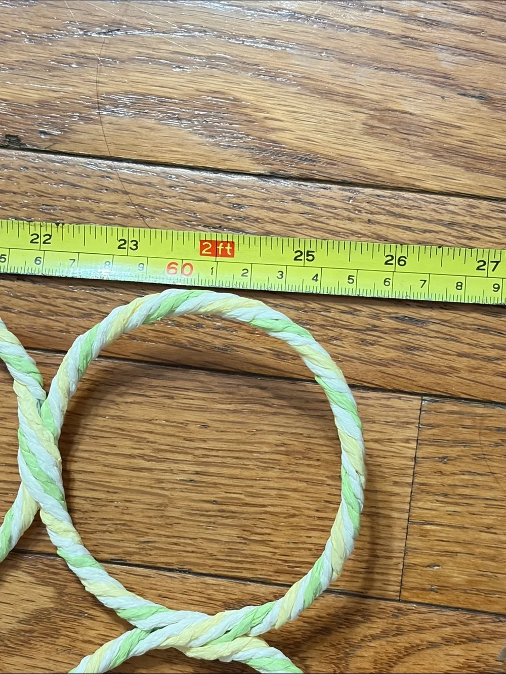 Hanging 28-Ring Accessory Organizer in Pale Green